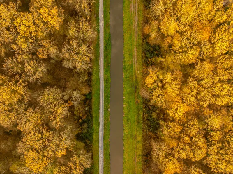 Gatekeepers or Going Direct: What Nobody Tells You About Both Paths